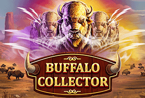 Buffalo Collector